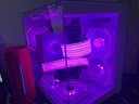華碩全家桶RTX 5060 Ti/RTX 5060主機(jī)14600KF組裝電腦主機(jī)電競(jìng)游戲主機(jī)臺(tái)式機(jī)DIY整機(jī)天選姬白色海景房 14600KF+華碩RTX 5060 優(yōu)化版 曬單實(shí)拍圖
