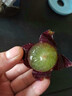 秦人農(nóng)匠 正宗戶太八號(hào)【順豐空運(yùn)】陜西戶縣葡萄新鮮滬太8號(hào)西安特產(chǎn)禮盒 5斤 匠心禮盒裝 曬單實(shí)拍圖