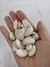 花色堂云南新貨白蕓豆白豆白云農(nóng)家自種大雪|粗糧干貨雜糧 手工挑選  白蕓豆(50克) 曬單實(shí)拍圖