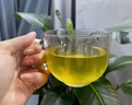 北京同仁堂解暑涼茶 清熱降火涼茶包夏季防熱清中暑廣式?jīng)霾枞鞗霾璋?40包試喝裝【多盒更實(shí)惠】加強(qiáng)款·18味清涼專方 曬單實(shí)拍圖