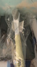 LYNN大號(hào)洗鞋刷子套裝【共2把】家用多功能洗鞋神器衣物刷軟毛不傷鞋 曬單實(shí)拍圖