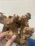 辰實【順豐】廣東潮汕南姜 南姜新鮮 高良姜蔬菜 山姜調(diào)料南姜 1斤 曬單實拍圖