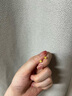 999純銀耳釘女小金花玫瑰花耳環(huán)過年耳飾輕奢秋冬感2025年新款潮 老鳳祥999足銀小玫瑰花耳釘金色 曬單實(shí)拍圖
