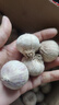 新鮮大蒜2025年現(xiàn)挖大蒜頭正宗紫皮獨頭蒜紅皮農(nóng)家特產(chǎn)大蒜批發(fā) 5斤裝 特大果【果徑3.5-4cm】約20顆/斤 曬單實拍圖