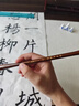 玉水湖清風(fēng)兼毫毛筆書法初學(xué)者入門專用套裝學(xué)生筆練兼豪大中小楷尖毫國(guó)畫兒童練字筆歐體楷書行書毛筆字 新清風(fēng)兼毫中【出鋒4.5口徑1.0】 楷書 曬單實(shí)拍圖