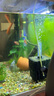 YEE魚(yú)缸水妖精內(nèi)置三合一增氧水循環(huán)反氣舉氧氣泵魚(yú)缸過(guò)濾器中號(hào) 曬單實(shí)拍圖