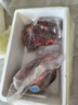 知嘗新鮮現(xiàn)殺馬肉 大塊原切 草原散養(yǎng) 肉質(zhì)鮮嫩低脂肪人間美味 不注水 新鮮現(xiàn)殺馬里脊肉5斤裝 曬單實(shí)拍圖