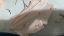 棉奇熊5條裝女童內(nèi)褲平角棉質(zhì)短褲兒童四角底褲寶寶小女孩95%棉不夾PP 檸檬女孩-A類精梳棉 10A抗菌- 5條 100 (身高80-95cm體重15-25斤) 曬單實拍圖