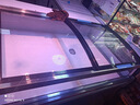 樂創(chuàng)（lecon）鮮肉展示柜商用超市豬肉海鮮保鮮柜商場冷藏臥式冰柜平島柜肉類冷柜涼菜柜 直冷省電款1.2米-玻璃門【贈網(wǎng)格】 曬單實拍圖
