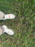 adidas EQT BASK ADV休閑復(fù)古籃球運(yùn)動(dòng)鞋男女阿迪達(dá)斯官方三葉草 漢玉白/巖層橄欖綠/卡其棕 40.5 曬單實(shí)拍圖