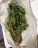 良知農(nóng)哥 【順豐】新鮮現(xiàn)挖馬齒莧菜 馬齒莧長壽菜五行草 【新鮮馬齒莧】 4斤（更劃算） 曬單實拍圖