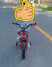 永久（FOREVER）兒童自行車小孩單車腳踏車14寸平衡車學(xué)生山地車童車紅色 曬單實拍圖