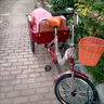 永久三輪車?yán)先四_踏腳蹬腳踩自行單車?yán)夏耆肆嚧叫⌒洼p便成人 70斗-酒紅色（正新輪胎）雙鏈條 曬單實(shí)拍圖