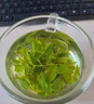 北京同仁堂酸棗芽茶泰山酸棗葉子嫩芽茶泡水好睡眠山棗葉炒酸棗仁芽棗牙新茶 [安睡整晚]酸棗芽茶500g 曬單實(shí)拍圖