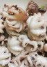 八爪魚 鮮活冷凍去牙去內(nèi)臟小八爪魚長腿國產(chǎn)章魚海鮮水產(chǎn) 三去八爪魚3斤裝 曬單實拍圖