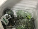 綠源禾心有機貝貝南瓜新鮮正宗板栗味小南瓜自然熟健康寶寶輔食無(wú)農殘蔬菜 兩斤 曬單實(shí)拍圖