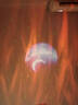 萬(wàn)火北極光星空投影燈滿(mǎn)天星臥室投影儀睡眠浪漫氛圍燈兒童夢(mèng)幻高級(jí)感 曬單實(shí)拍圖