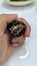 草原烏蘭 馬奶酒 內(nèi)蒙古特產(chǎn)乳白色牛奶酒低度酒16度-22度500ml*4瓶整箱 白色精品烏蘭禮盒（4瓶裝） 曬單實(shí)拍圖