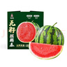 曉吸無籽麒麟瓜 4kg 曬單實拍圖