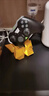 萊仕達（PXN）承影無線switch2手柄pc游戲電腦steam藍牙NS任天堂pro體感電視手機原神 雙人成行 雙影奇境 騎士黑 曬單實拍圖