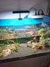 尼奧光 NEO-HELIOS魚缸燈水草燈LED燈S3proRGB植物光譜 13W新款尼奧S3pro+【高亮自然版雙倍亮度】 曬單實拍圖