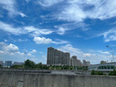 寶家潔【楊冪同款】長柄地刷廁所刷子衛(wèi)生間刷地硬毛浴室地縫刷地板刷 曬單實拍圖