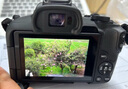 佳能（Canon）EOS R50 小型便攜 搭載多種智能化自動拍攝功能 RF-S18-45鏡頭 微單數(shù)碼套機 黑色 曬單實拍圖