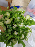 京鮮生山東新鮮大西芹凈重4.5斤榨汁現(xiàn)挖芹菜鮮嫩蔬菜 去半葉源頭直發(fā) 曬單實(shí)拍圖
