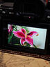 索尼（SONY）A7M4 a7m4全畫幅微單旗艦相機 4K視頻vlog直播相機 ILCE-7M4 單機+FE20-70 F4【廣角標準變焦】 官方標配【下單送1400元攝影禮包】 曬單實拍圖