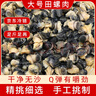 微山湖農(nóng)家特大田螺肉大號(hào)螺螄肉現(xiàn)挑新鮮去殼無(wú)鹽凈肉螺螄粉專用 特大田螺肉 1kg 曬單實(shí)拍圖