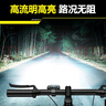 飛利浦（PHILIPS）自行車燈前燈夜騎燈山地公路車兒童騎行燈強(qiáng)光電筒配件SFL1341RHG 曬單實拍圖