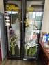 頂邦（DINGBANG) 鮮花保鮮柜 花店商用大容量風冷鮮花保鮮冰箱冰柜冷柜冷藏柜水果飲料鮮花展示柜 【展示花墻款】雙門風冷黑色(送24桶可放24種花) 曬單實拍圖