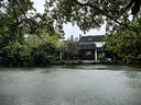 船歌魚水餃 墨魚水餃460g/袋 24只 健康早餐夜宵 海鮮手工速凍餃子 生鮮速食 曬單實(shí)拍圖