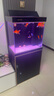 森森（SUNSUN）大型魚缸底過濾水族箱客廳家用落地玻璃生態(tài)金魚缸 【實(shí)時溫顯+燈控】經(jīng)典黑 0.6米長35cm寬 曬單實(shí)拍圖