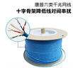 康普六類網(wǎng)線1427071-6超六類屏蔽CS44Z1超五類非屏蔽CS24雙絞線 六類非屏蔽網(wǎng)線CS30 1427071-6 305m 曬單實(shí)拍圖