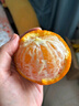 京鮮生 云南青皮蜜桔4.5斤裝  果徑55mm+ 新鮮酸橘桔水果 源頭直發(fā)包郵 曬單實拍圖