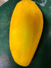 廣西金煌芒新鮮芒果10斤當(dāng)季熱帶水果大青芒超大特大水仙芒果包郵 3斤 【中果】單果200g+丨不甜包賠 曬單實(shí)拍圖