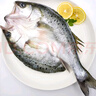 鮮京采三去海鱸魚3斤/3條 生鮮魚類 白蕉鱸魚地標 無冰凈重3斤 源頭直發(fā) 曬單實拍圖