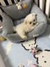 柴墨精品比熊幼犬雙血統(tǒng)茶杯犬韓系寵物狗活體家養(yǎng)白色卷毛小型犬 寵物級 【精品比熊】 曬單實拍圖