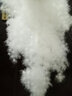 軒朵羽散裝羽絨非標(biāo)98大朵白鵝絨吊吊絨95白鴨絨水洗原料羽絨被填充物 東北99無(wú)絲大白鵝吊吊絨（5A級(jí)） 凈重一斤（500g） 曬單實(shí)拍圖