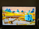 索尼（SONY）FW-43BZ30L顯示器 43英寸4K超高清HDR 無(wú)線投屏 視頻會(huì)議顯示屏 廣告機(jī) 辦公 IPS面板 曬單實(shí)拍圖