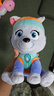 汪汪隊立大功（PAW PATROL）汪汪隊毛絨玩具狗狗天天玩偶公仔娃娃擺件男女孩生日禮物 經(jīng)典款-珠珠公仔 中號-坐高22.9CM 曬單實(shí)拍圖