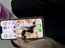 庫存手機iPhone13Promax iphone13pro 全網(wǎng)通5G激活雙卡13系列 iphone13Pro【6.1寸】遠峰藍色 【快充套裝 保修兩年】256G 曬單實拍圖