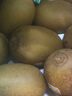 佳沛（zespri）新西蘭  陽光金奇異果巨大果22粒原箱 單果重約144-175g 獼猴桃 曬單實(shí)拍圖