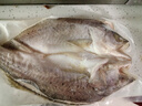 鮮京采三去海鱸魚3斤/3條 生鮮魚類 白蕉鱸魚地標(biāo) 無(wú)冰凈重3斤 源頭直發(fā) 曬單實(shí)拍圖