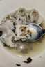灣仔碼頭上湯小云吞三鮮600g75只餛飩早餐夜宵速食冷凍食品混沌 曬單實(shí)拍圖