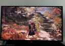 華碩ROG 絕神 OLED 國家補貼15% 27英寸顯示器2K電競顯屏幕 280Hz 真10bit 可調(diào)節(jié)HDR XG27ACDMS 2K280Hz OLED屏 曬單實拍圖