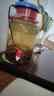 不老潭糧食酒 純糧壹號高度白酒桶裝高粱酒濃香型原漿泡酒散裝白酒 52度 5L 1桶 曬單實拍圖