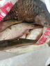 通殺方塊魚(yú)餌料通殺野釣海竿拋竿餌餅大頭鰱鳙紅蟲(chóng)方塊魚(yú)餌翻板鉤 地御貓紅蟲(chóng)腥香 800g 3袋裝 曬單實(shí)拍圖