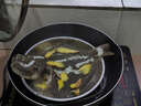 鮮活多寶魚450-550g/條 曬單實(shí)拍圖